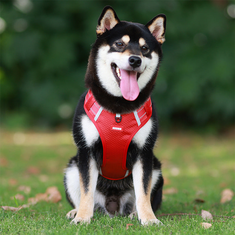 🔥49% OFF🐕Reflective No-Pull Adjustable Dog Vest Harness-1